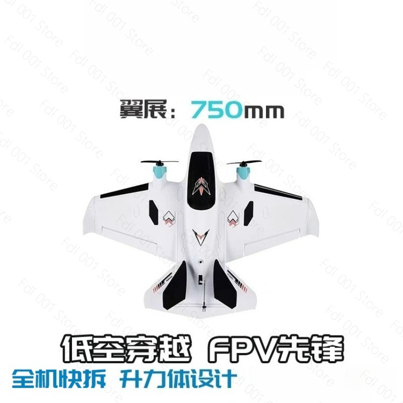 Avion RC à aile fixe FPV à dou - Drone Motor avis et prix